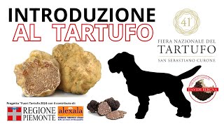 INTRODUZIONE al mondo del TARTUFO [upl. by Kaitlin]