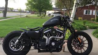 2015 Harley Davidson Iron 883 Walk around [upl. by Neeruan253]