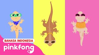 Cicak cicak di dinding  Lagu Anak  Baby Shark Pinkfong Indonesia [upl. by Jenkel]