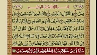 SURAH YASEEN WITH URDU TARJUMA [upl. by Nosa918]