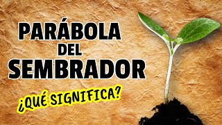 El SIGNIFICADO de la PARÁBOLA del SEMBRADOR [upl. by Aray]