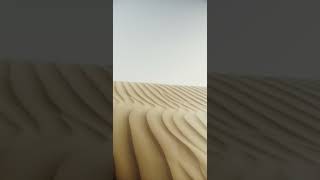 Sand Ripples in the Desert [upl. by Marrilee]