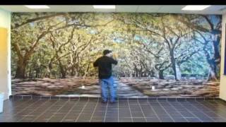 ORACAL USA  Indoor Wall Mural Installation [upl. by Randy]