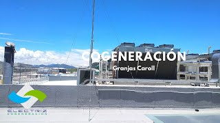 COGENERACIÓN generar energía eléctrica [upl. by Gadmon212]