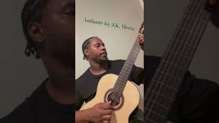 Andante by JK Mertz guitar cornrows nylonstrings classicalguitar sixstrings [upl. by Bloch402]