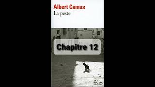 12  La peste de Camus  Chapitre 12  livre audio [upl. by Jun]