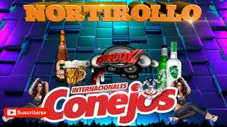 NORTIROLLO  Internacionales conejos rmx  Dj Freddy rmx Gt [upl. by Hansiain]