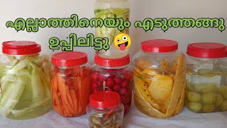 ഉപ്പിലിട്ടത് 😋 Uppilittathu malayalam  nasbetterkitchen [upl. by Amlez]