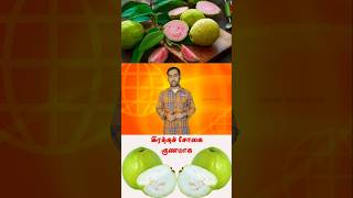 இரத்தச் சோகை குணமாக  Anemia treatment foods  guava anemia hemoglobin iron health  shorts [upl. by Aehcim]