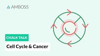 Cell Cycle and Cancer Phases Hallmarks and Development [upl. by Hgeilhsa771]