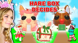 NEW Hare Box DECIDES What We BUILD In Adopt Me Roblox [upl. by Nnelg]