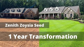 Zoysia Seed or Sod  Lawn Renovation Results  First Year Expectations [upl. by Arbmat]