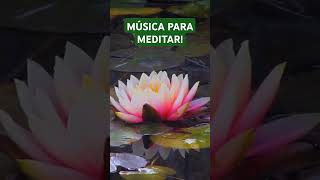 TÁ ANSIOSO MÚSICA PARA MEDITAR PROFUNDAMENTE [upl. by Whall462]