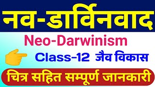 नव डार्विनवाद का सिद्धांत  neo darwinism theory of evolution  neo darwinism theory in hindi bio [upl. by Ninos]