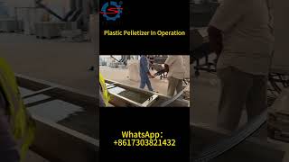 Plastic Pelletizer For PVC Recycling In Operation In Oman [upl. by Dleifniw]