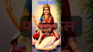 🙏Powerful Gayatri Mantra गायत्री मंत्र 🌹gayatrimantra mantra shorts shortsfeed [upl. by Ahseekan]