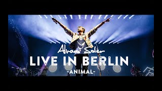 Alvaro Soler  Animal Live in Berlin [upl. by Ahseyi]