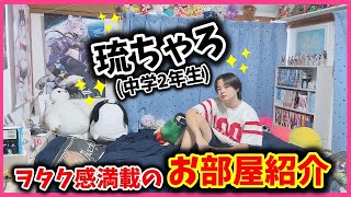 【初公開】中2男子✨禁断のヲタク部屋紹介❤️【ルームツアー】 [upl. by Noreen196]