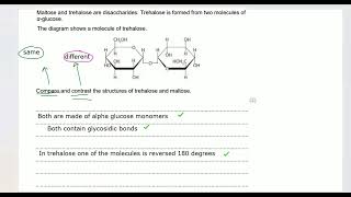 SNAB A Level Biology Carbohydrates [upl. by Chansoo]