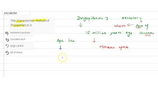 The charaateristic feature of Dryopithecus is  12  EVOLUTION OF HUMAN  BIOLOGY  ARIHANT NEE [upl. by Marko304]