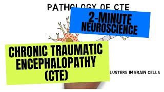 2Minute Neuroscience Chronic Traumatic Encephalopathy CTE [upl. by Oswin]