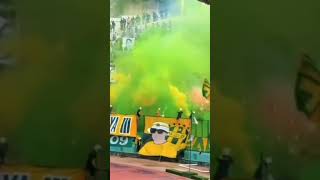 انيماسيون انصار شبيبة القبائل امام المولودية 🔥🔥 JSK vs MCA [upl. by Morell978]