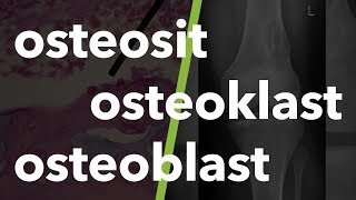 Kas ve İskelet Sistemi Terminolojisi osteosit osteoklast osteoblast 8 [upl. by Oeniri]