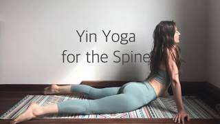 Yin Yoga for a Healthy Spine  Full Sequence [upl. by Gautious]