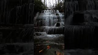 Grogan Creek Falls NC [upl. by Aihpos473]