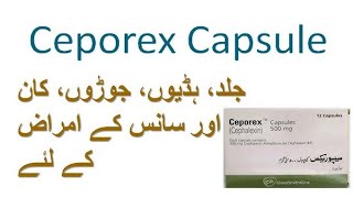 ceporex capsule 500mg uses  ceporex capsule 250mg uses  ceporex capsule benefits and side effects [upl. by Memory]