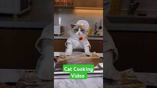 Cat Cooking Video A Beautiful Cat Kitchen New Resipi shorts [upl. by Olette]