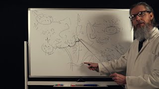 The Unintelligible Professors Lecture  ASMR [upl. by Avrom]