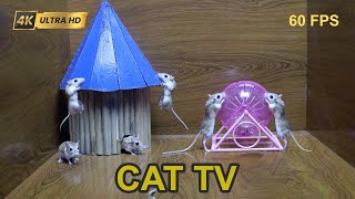 Cat TV Games for Cats  Unlimited Mice Hide amp Seek Playing on Screen 8 Hours 4K UHD 60FPS [upl. by Renzo]