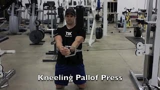 Kneeling Pallof Press [upl. by Anuahc]