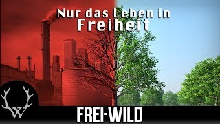 FreiWild  Nur das Leben in Freiheit Offizielles Video [upl. by Wimsatt]