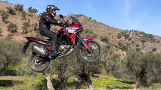 Africa Twin 2024 vs Africa Twin Adventure Sports 2024 in Offroad [upl. by Ellivnarg900]