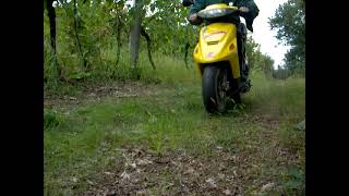 364 2006 Garelli Grinta scooter vlog nei vigneti [upl. by Yacov]