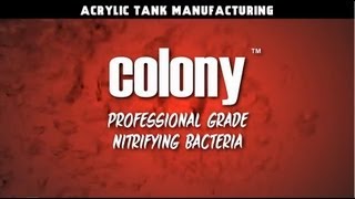 All About ATM Colony Nitrifying Bacteria [upl. by Foulk]