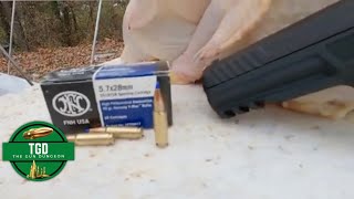 57X28 SS197SR 40gr Hornady Vmax Ballistic Chicken Test [upl. by Shuping]