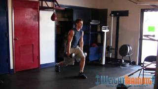 Alternating Dumbbell Split Jump  How to do Dumbbell Split Jumps [upl. by Downall]