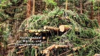 Dokumentation Hackschnitzelproduktion  vom Wald bis ins Heizkraftwerk [upl. by Fredelia]