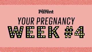 Your pregnancy 14 weeks [upl. by Hermia]