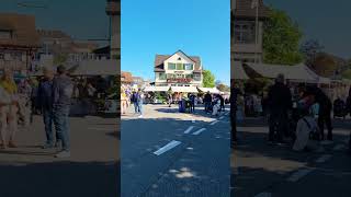 Street Market In Amriswil Switzerland [upl. by Ahdar781]