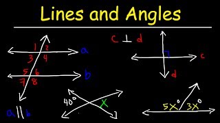 Parallel and Perpendicular Lines Transversals Alternate Interior Angles Alternate Exterior Angles [upl. by Edin820]