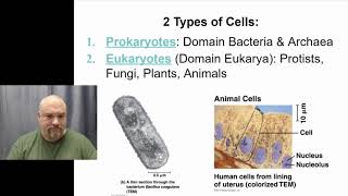 AP Bio Unit 2Cell Structures 210 211 [upl. by Gallager]