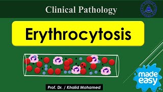 Vet Hematology Lecture 4 Erythrocytosis Polycythemia made easy [upl. by Racklin]