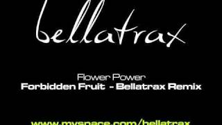 Flower Power  Forbidden Fruit Bellatrax Radio Edit [upl. by Anhavas]