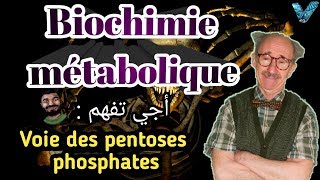 Biochimie métabolique en arabe partie des glucides Voie des pentoses phosphates SVI S4 [upl. by Adaiha583]