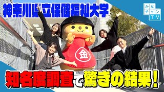 かながわキンタロウお手伝い～県立保健福祉大学学園祭を盛り上げろ～ [upl. by Mowbray]