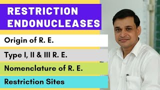 Restriction endonuclease enzymes  their types and nomenclature  Restriction or recognition sites [upl. by Ranita]